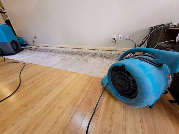 Professional Water Extraction technician working in Johnstown, CO